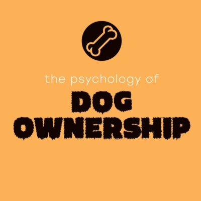 The Psychology of Dog Ownership (The Psychology of Everything)