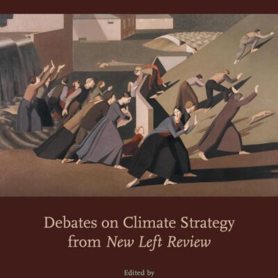 Who Will Build the Ark?: Debates on Climate Strategy from New Left Review