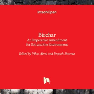 Biochar: An Imperative Amendment for Soil and the Environment