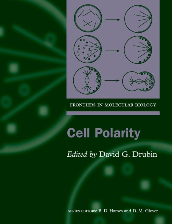 Cell Polarity: 28 (Frontiers in Molecular Biology)