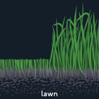 Lawn