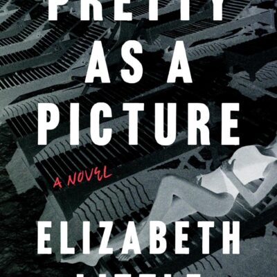 Pretty as a Picture: A Novel