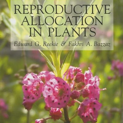 Reproductive Allocation In Plants