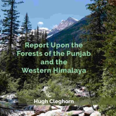 Report Upon the Forests of the Punjab and the Western Himalaya [Hardcover]