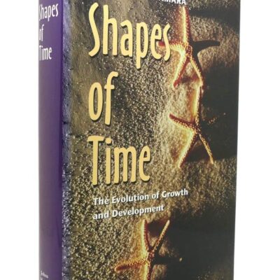 Shapes of Time: The Evolution of Growth and Development