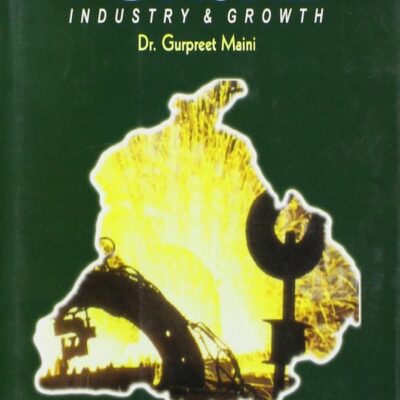 The Giant Awakens Punjab: Industry and Growth