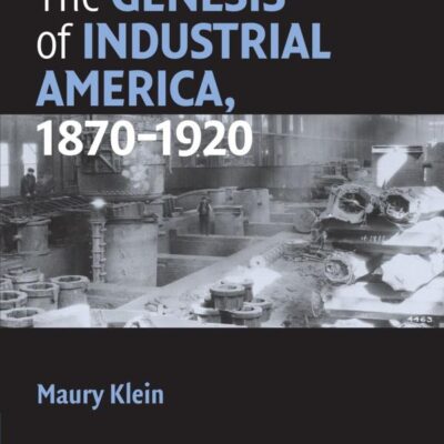 The Genesis of Industrial America 1870-1920 (Cambridge Essential Histories)