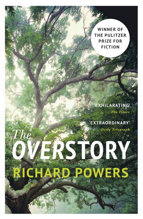 Overstory