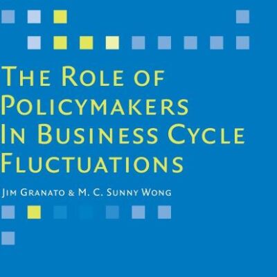 The Role of Policymakers in Business Cycle Fluctuations