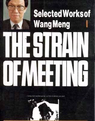 The Strain of Meeting (Selected Works of Wang Meng : No. 1)