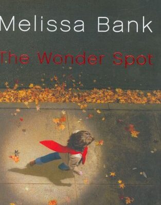 The Wonder Spot