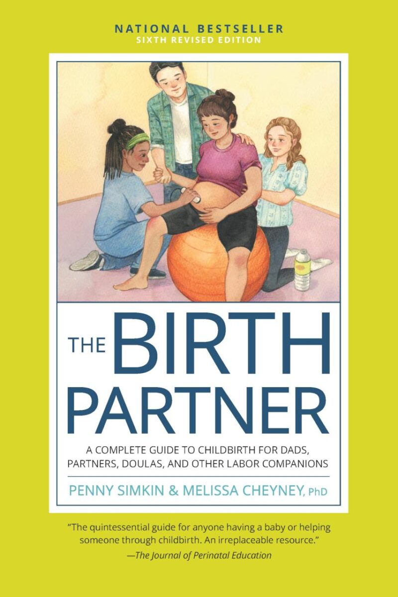 The Birth Partner: A Complete Guide to Childbirth for Dads