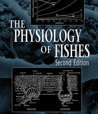 Physiology of Fishes 2nd edn (SIP) (CRC Marine Biology Series)