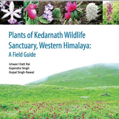 Plants of Kedarnath Wildlife Sanctuary Western Himalaya: A Field Guide (PB)