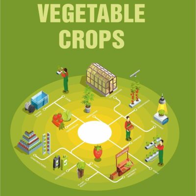 Production Technology of Vegetable Crops