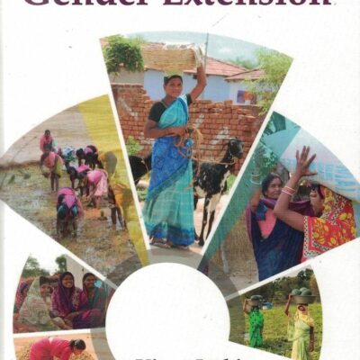 Principles of Gender Extension