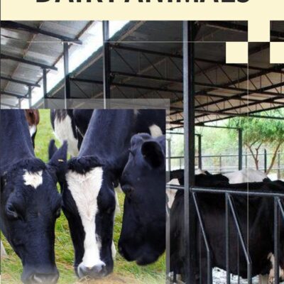 Production Diseases of Dairy Animals (9789390438594)