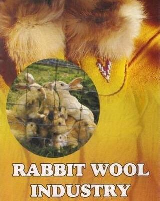 Rabbit Wool Industry