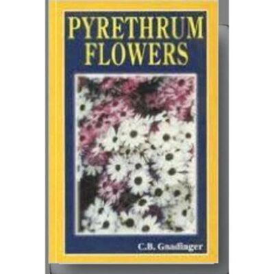 Pyrethrum Flowers
