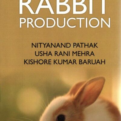 Rabbit Production