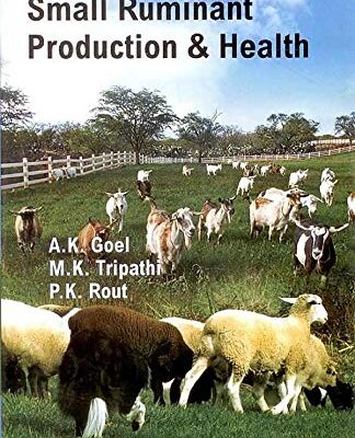 Small Ruminant Production and Health