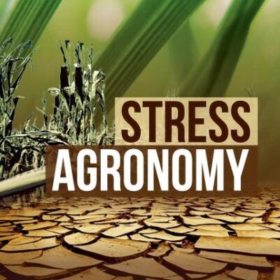Stress Agronomy