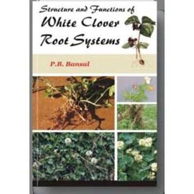Structure and Functions of White Clover Root Systems