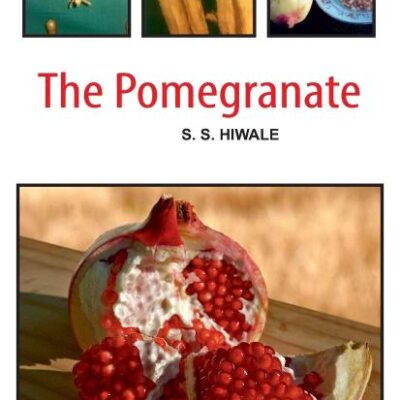 The Pomegranate