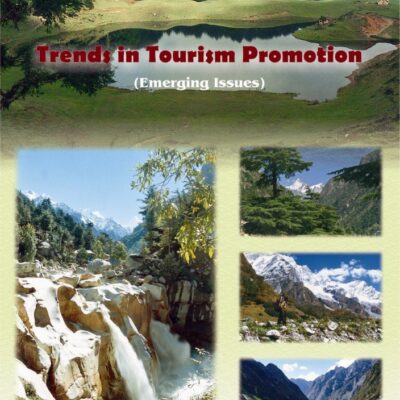 Trends in Tourism Promotion: Emerging Issues