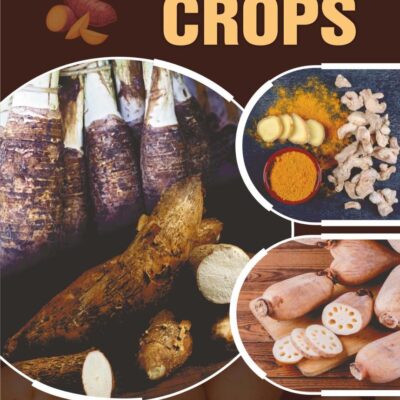 Tuber Crops