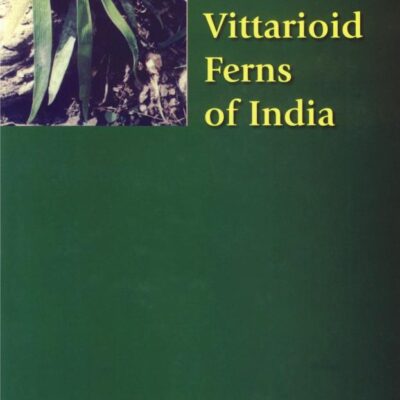 The Vittarioid Ferns of India