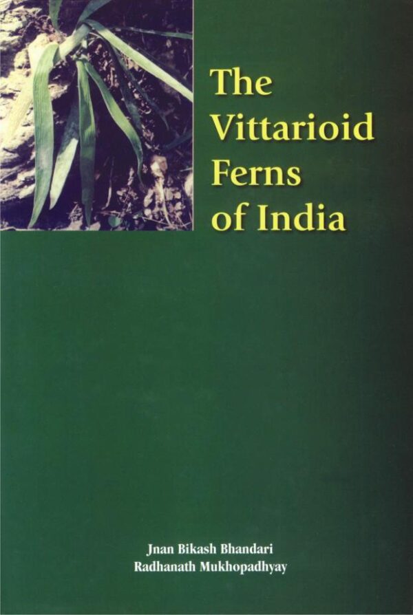 The Vittarioid Ferns of India