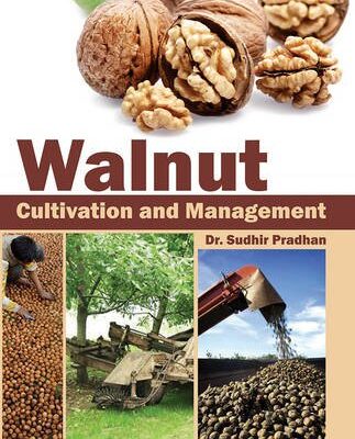 Walnut: Cultivation and Management