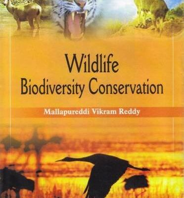 Wildlife Biodiversity Conservation