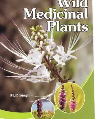Wild Medicinal Plants