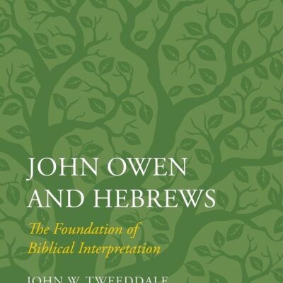 John Owen and Hebrews: The Foundation of Biblical Interpretation (T&T Clark Studies in English Theology)