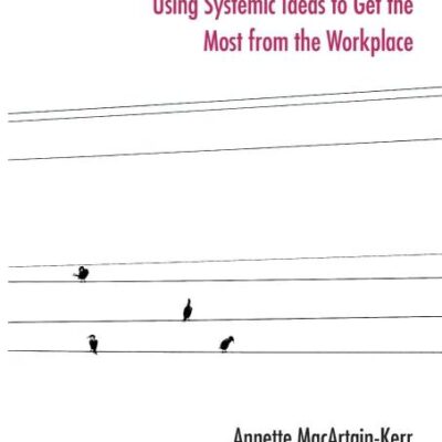 Leading at all Levels: Using Systemic Ideas to Get the Most from the Workplace (The Systemic Thinking and Practice Series: Work with Organizations)