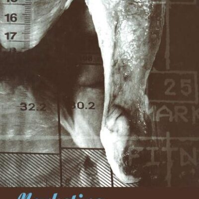 Marketing and Modernity: An Ethnography of Marketing Practice: v. 40 (Explorations in Anthropology)