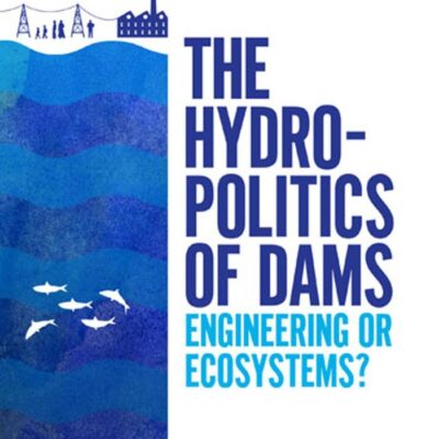 The Hydropolitics of Dams: Engineering or Ecosystems?