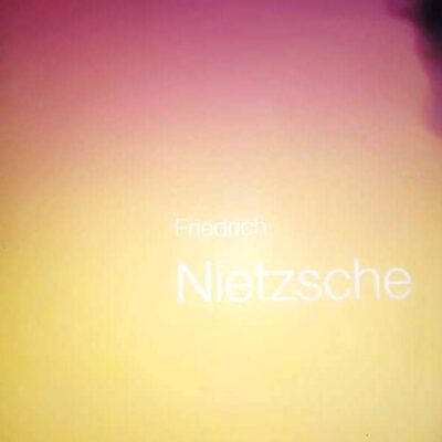 Friedrich Nietzsche [Paperback] Lee Spinks