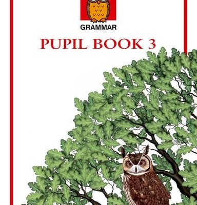 Nelson Grammar Pupil Book 3