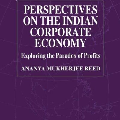 Perspectives on the Indian Corporate Economy: Exploring the Paradox of Profits (International Political Economy Series)