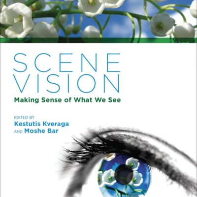 Scene Vision – Making Sense of What We See