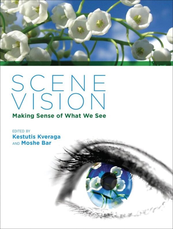 Scene Vision – Making Sense of What We See