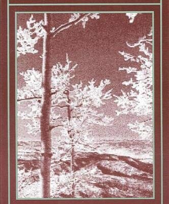 Revisioning Environmental Ethics