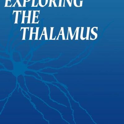 Exploring the Thalamus