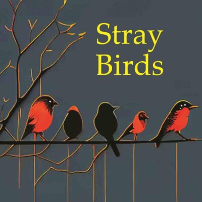 Stray Birds [Hardcover]