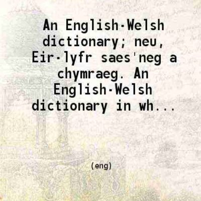 An English-Welsh dictionary; neu Eir-lyfr saes'neg a chymraeg. An English-Welsh dictionary in which the English words are accompanied by those which correspond with them in the Welsh langu [Hardcover]