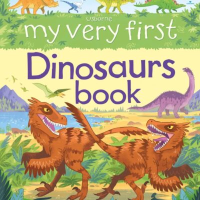 My Very First Dinosaurs Book