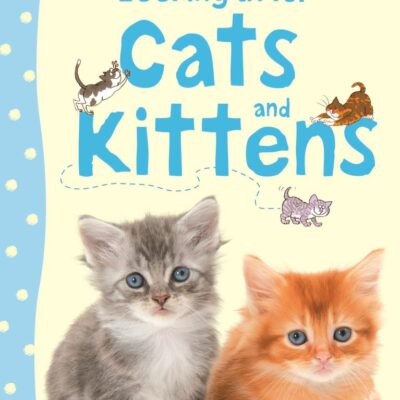 Looking After Cats And Kittens